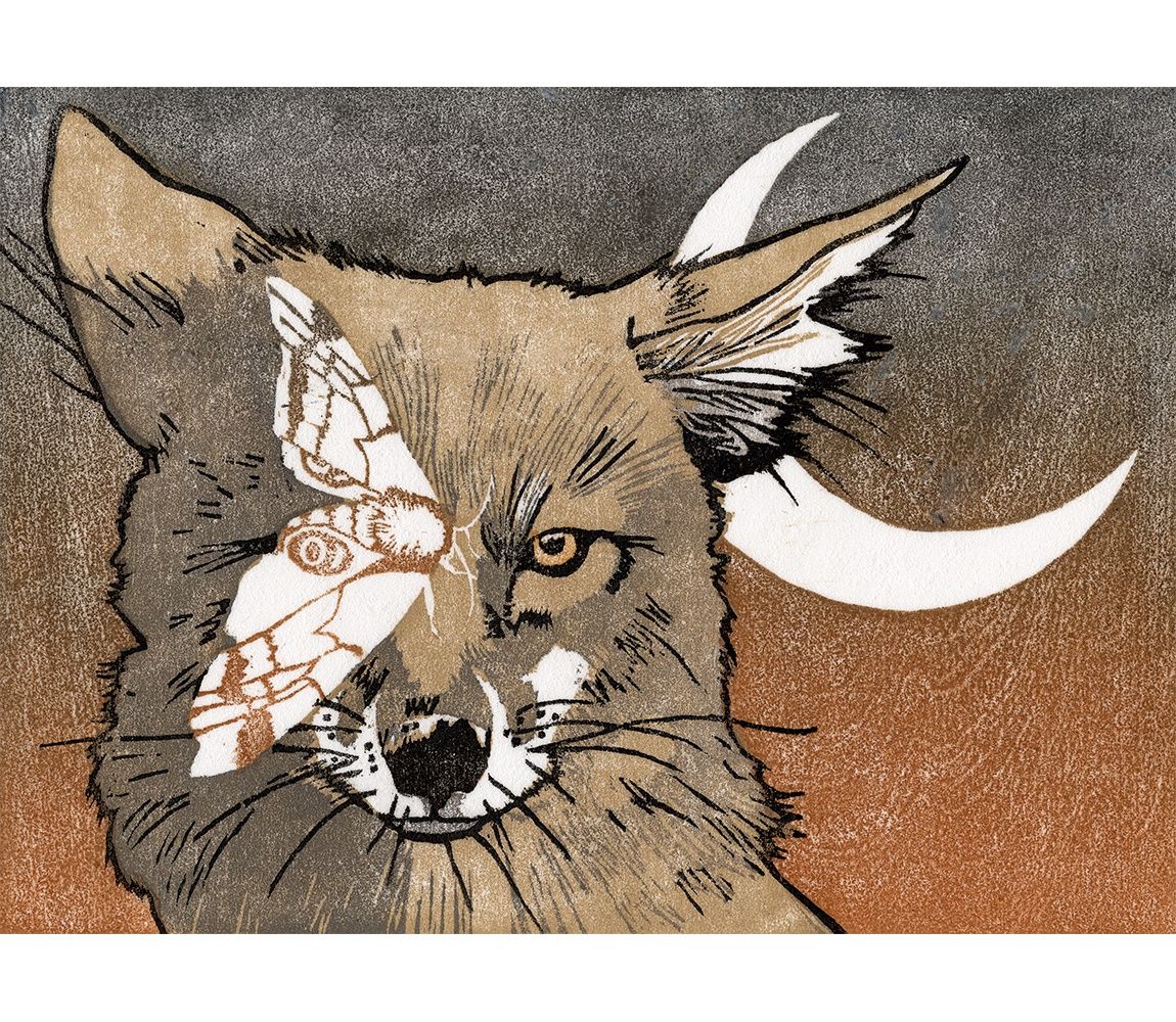 Animal Dreams
