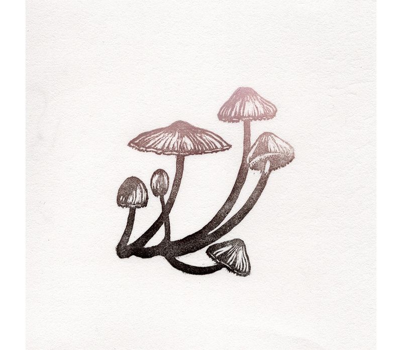 Mycena