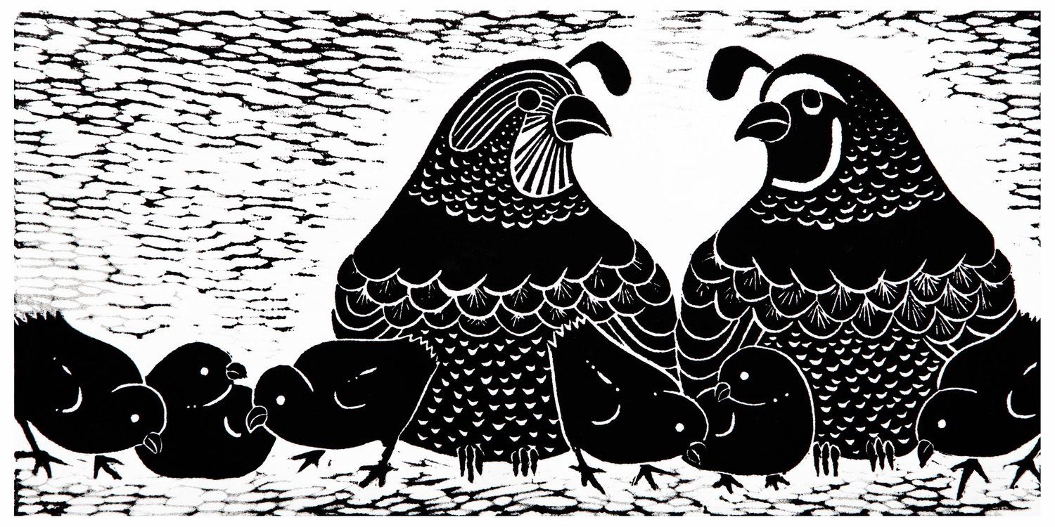 Quail Covey, Size: 12"x6"