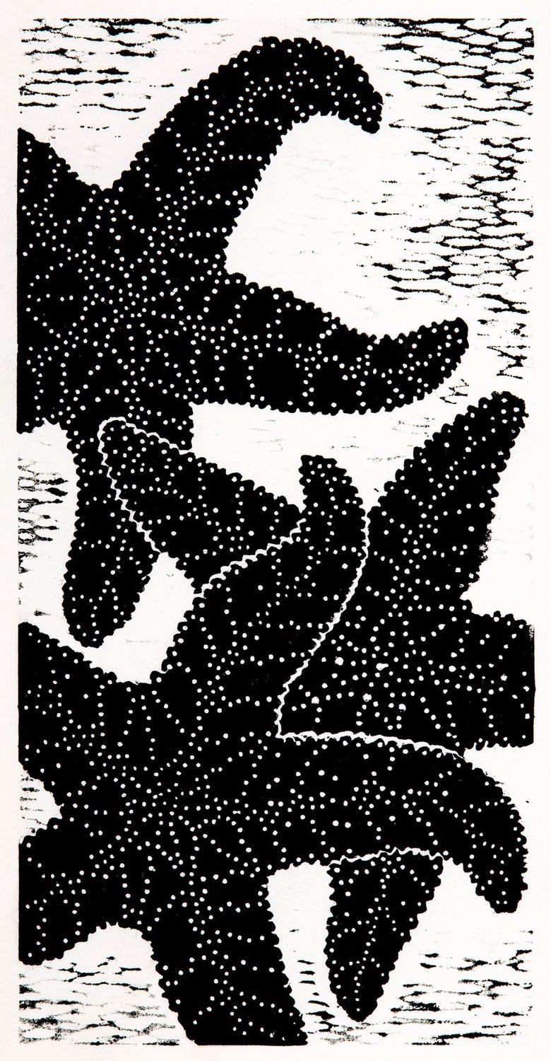 Sea Stars, Size: 6"x12"