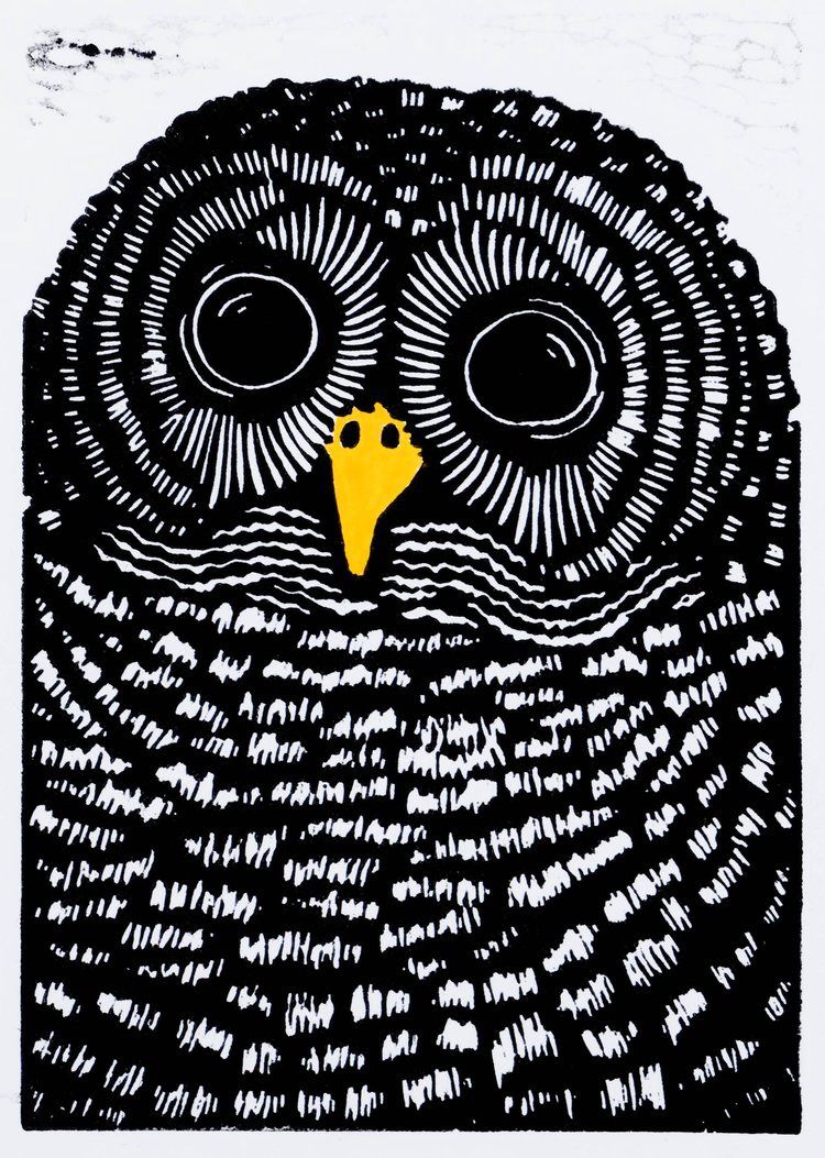 Barred Owl, Size: 5"x7"
