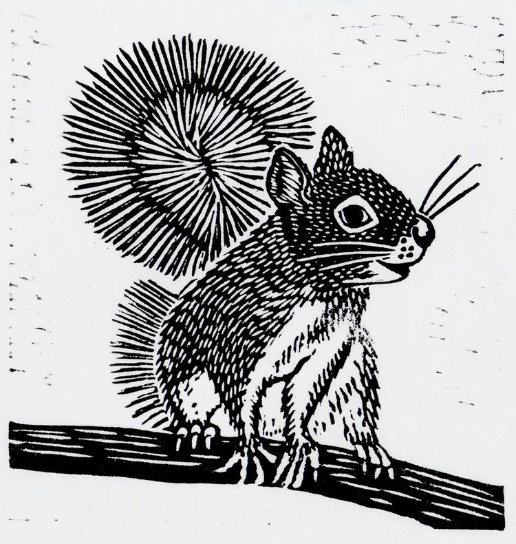 Douglas, Size: 6"x6"