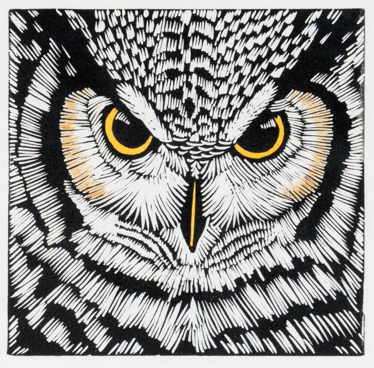Shrewd Eyes, Size: 6"x6"
