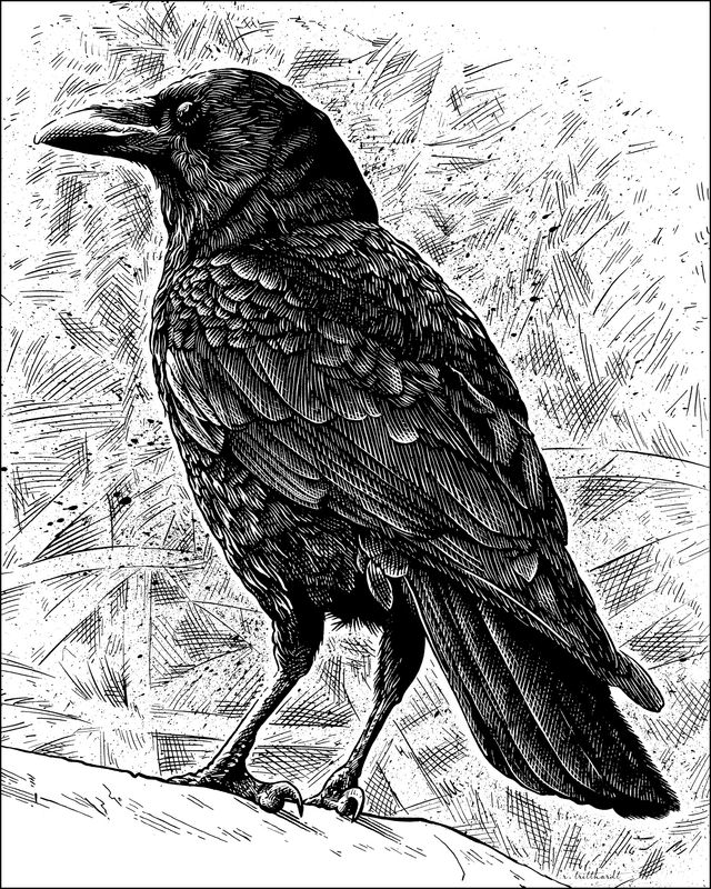Standing Crow