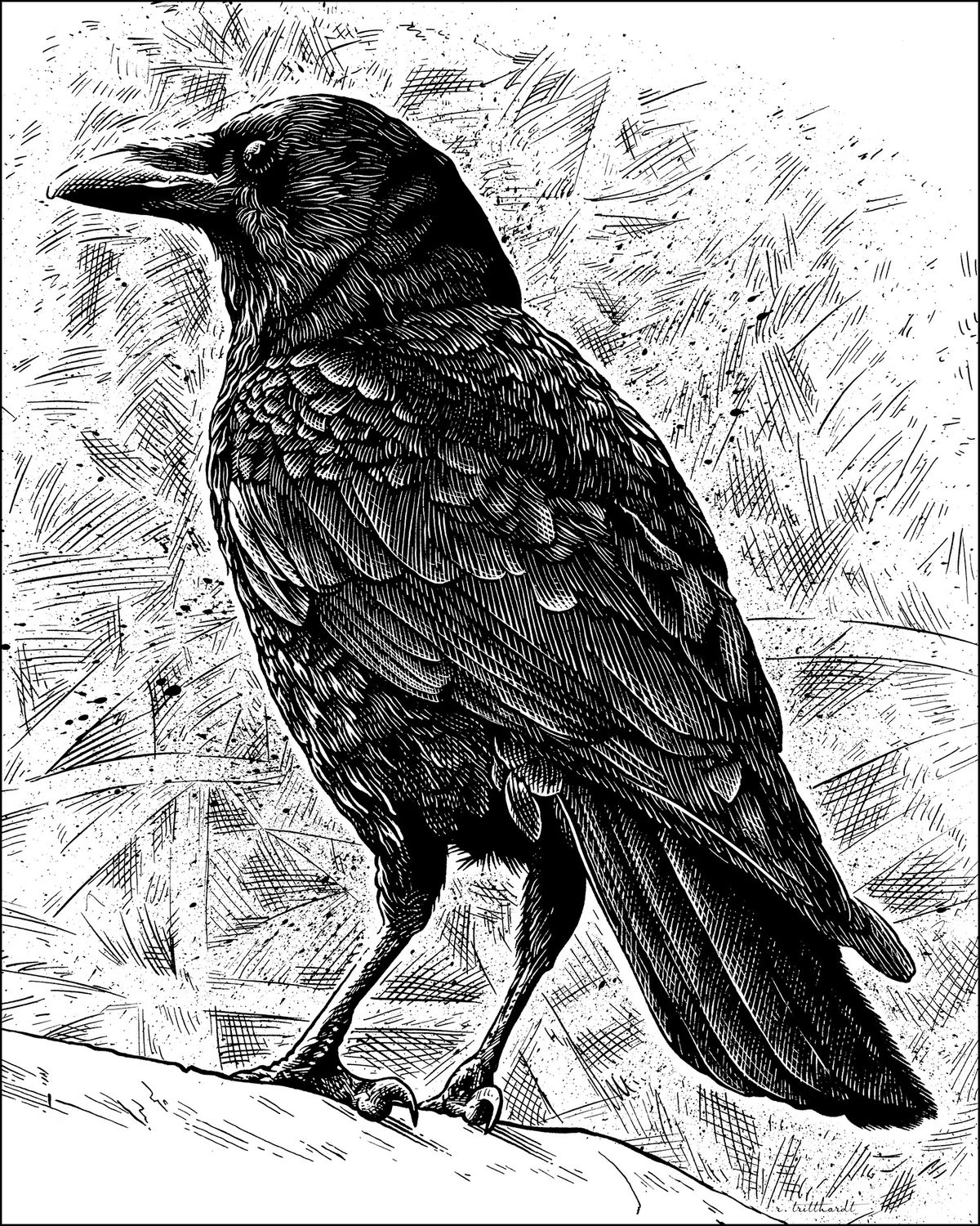 Standing Crow, Size: 8"x10"