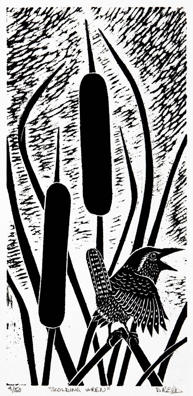 Scolding Wren, Size: 6"x12"
