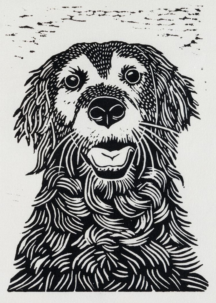 Old Dog, Size: 5"x7"