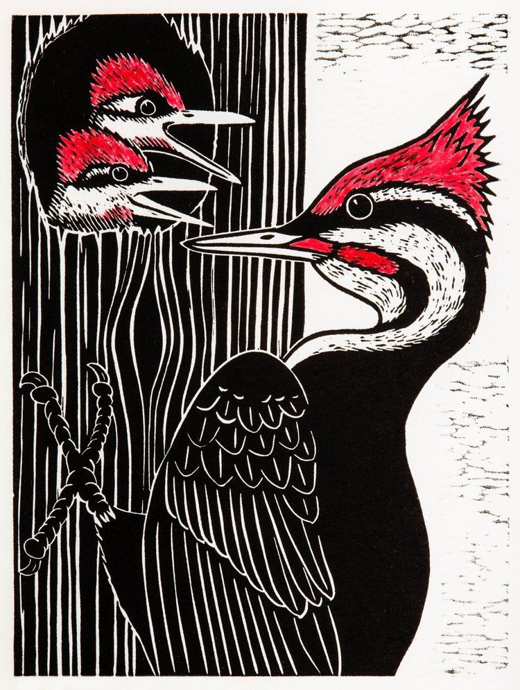 Pileated Woodpecker, Size: 9"x12"