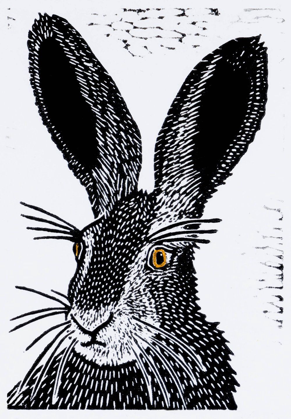 Brown Eyed Hare, Size: 5"x7"
