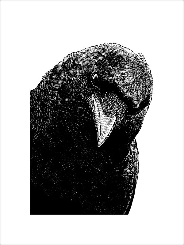 Omen