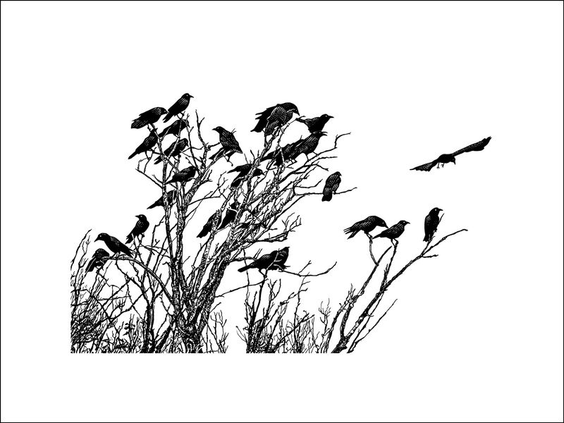 A Melody of Harpers 8"x6"