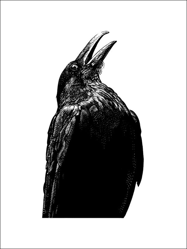 Herald