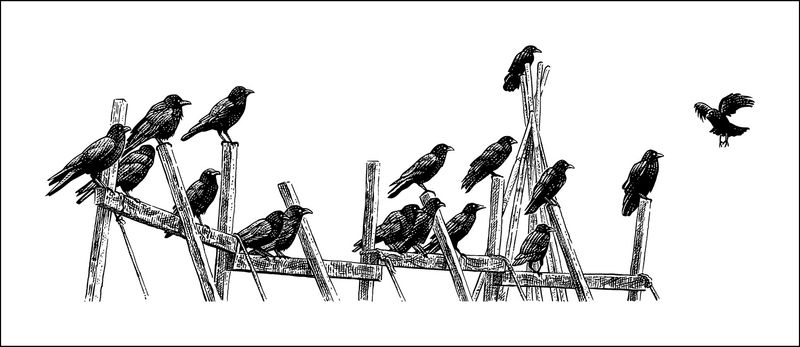 A Coven of Witches