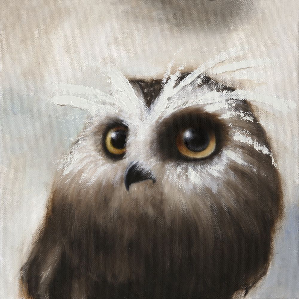Owl, Size: 8.5"x11"
