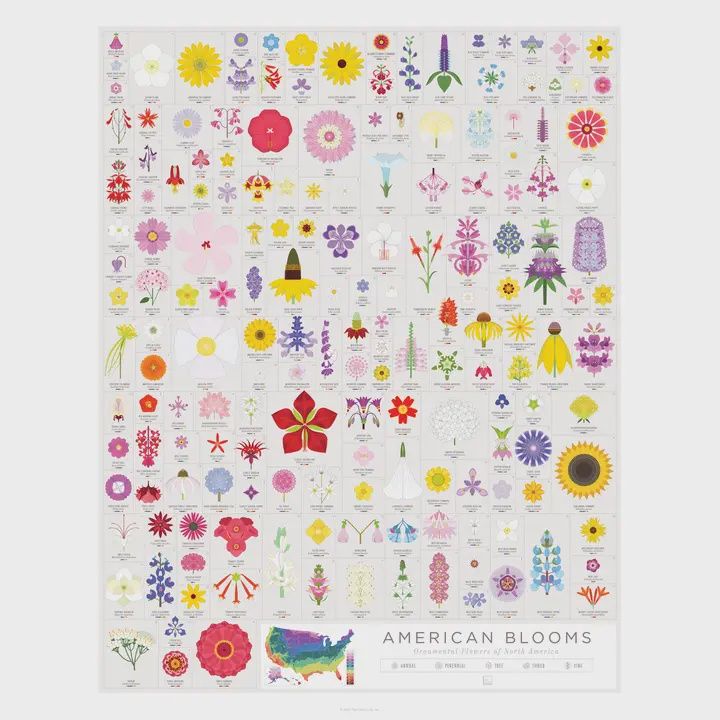 Flowers, Size: 16"x20"