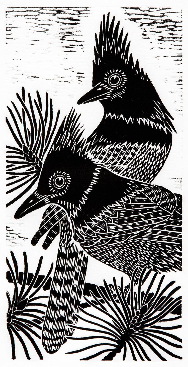 Stellars Jay, Size: 6"x12"