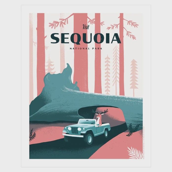 Sequoia, Size: 16"x20"
