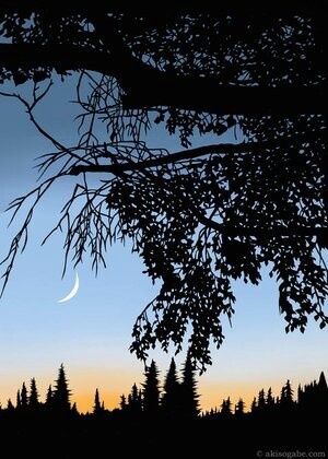 Crescent Moon in February, Size: 8.5"x11"