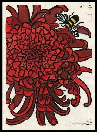 Chrysanthemum