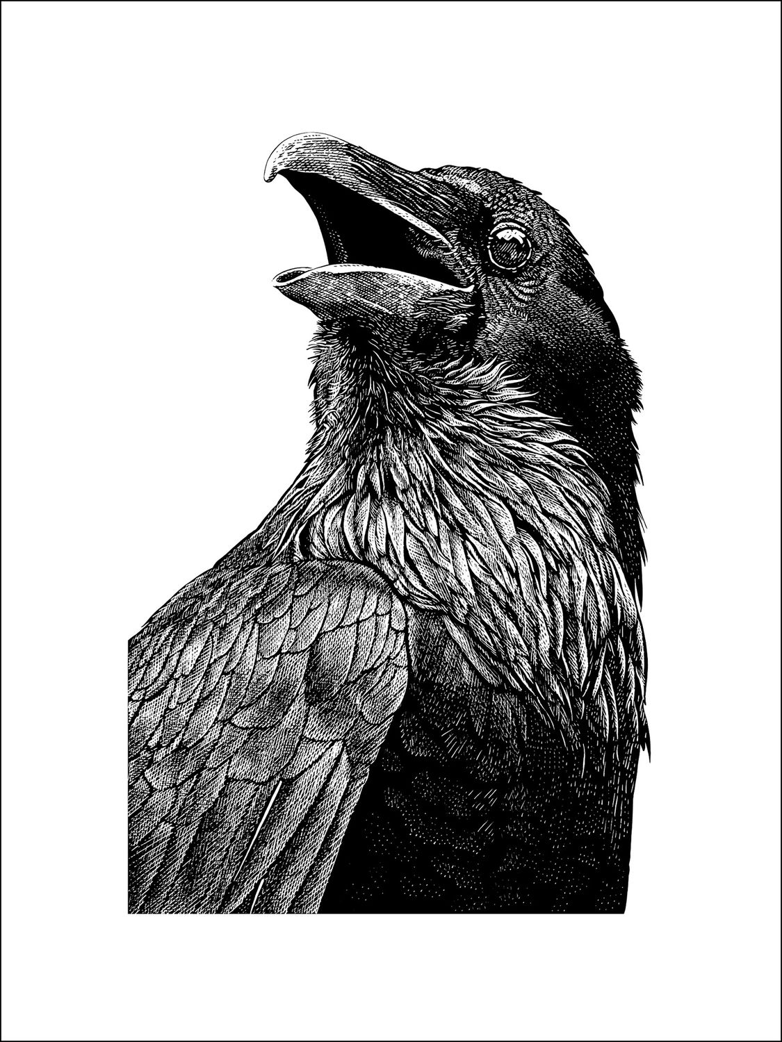 Huginn 8"x12", Size: 8"x12"