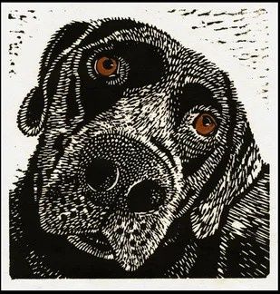 Brown Eyed Dog, Size: 6"x6"