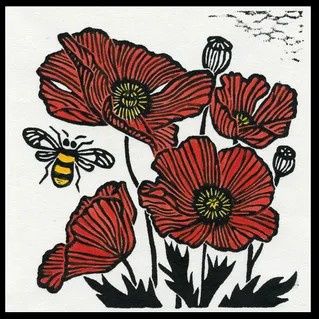 Poppies