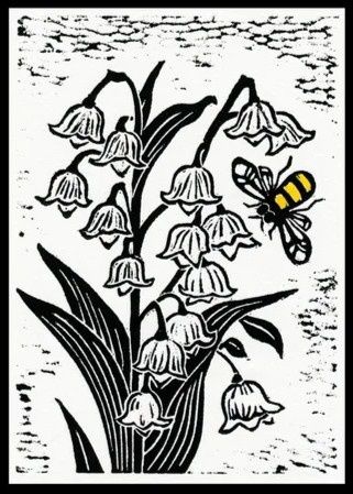 Snowdrops
