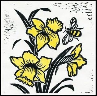 Daffodils