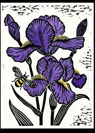 Iris, Size: 6"x8"