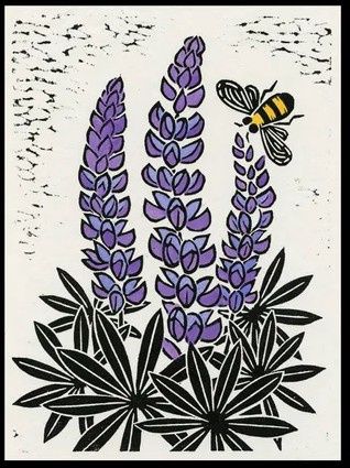 Lupine