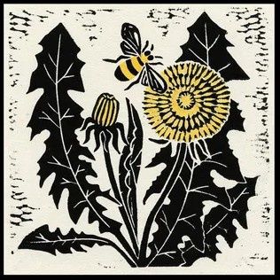 Dandelion I