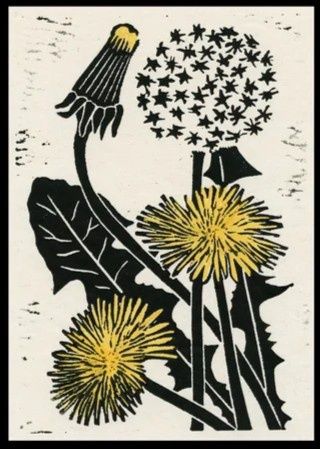 Dandelion II