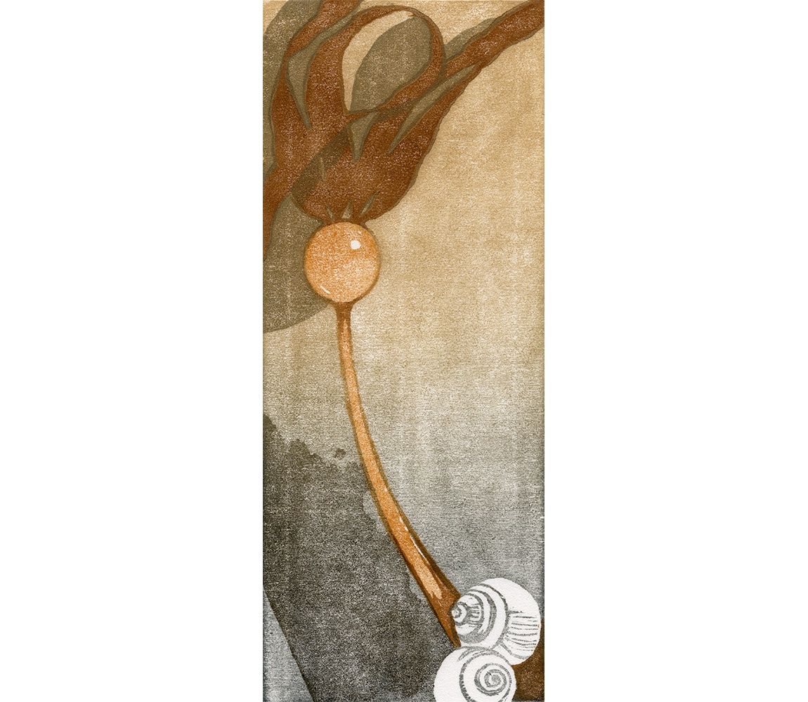 Strand, Size: 11"x14"