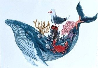 Humpback Whale