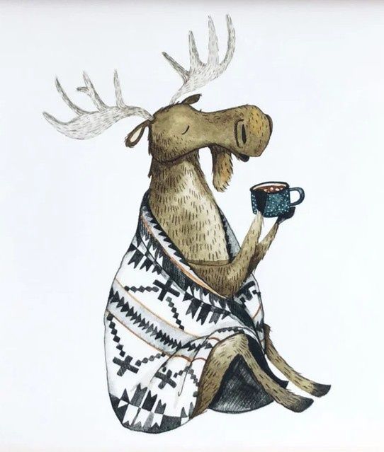 Cozy Moose