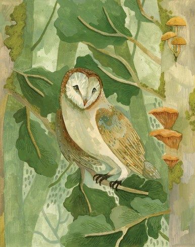 Forest Barn Owl