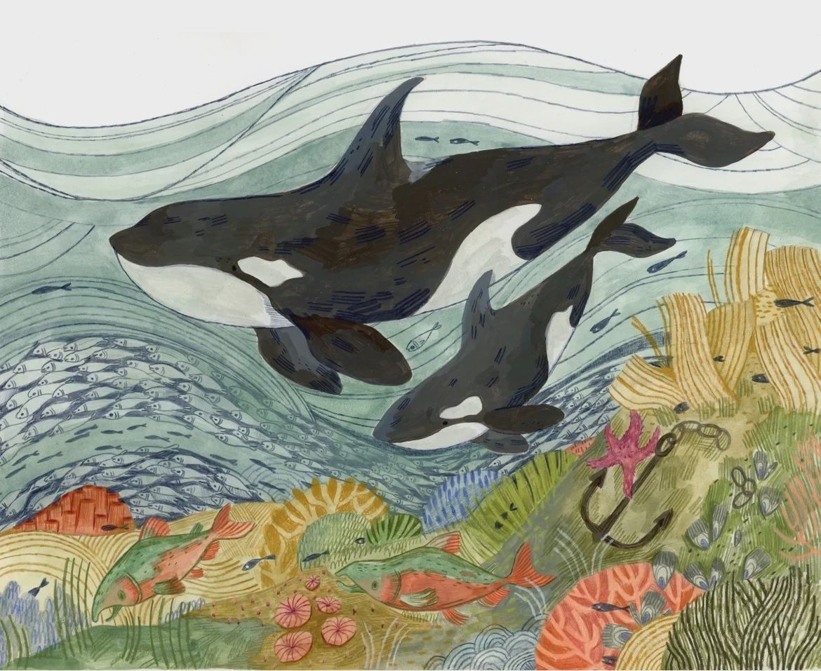 Ocean Orcas, Size: 10"x8"