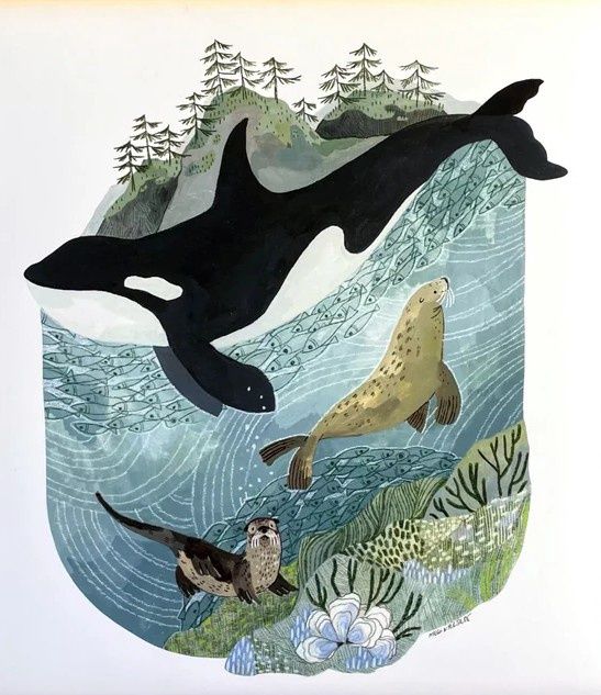 San Juan Orca
