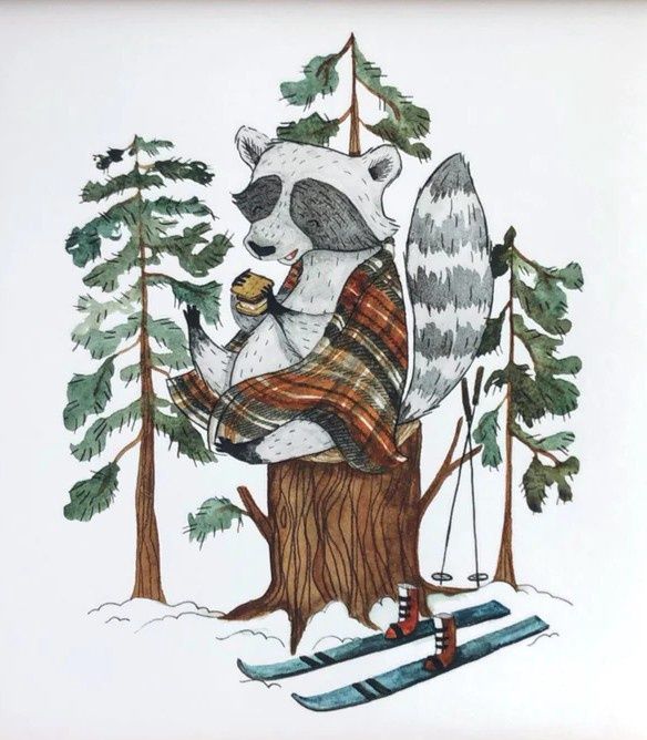 Ski Break