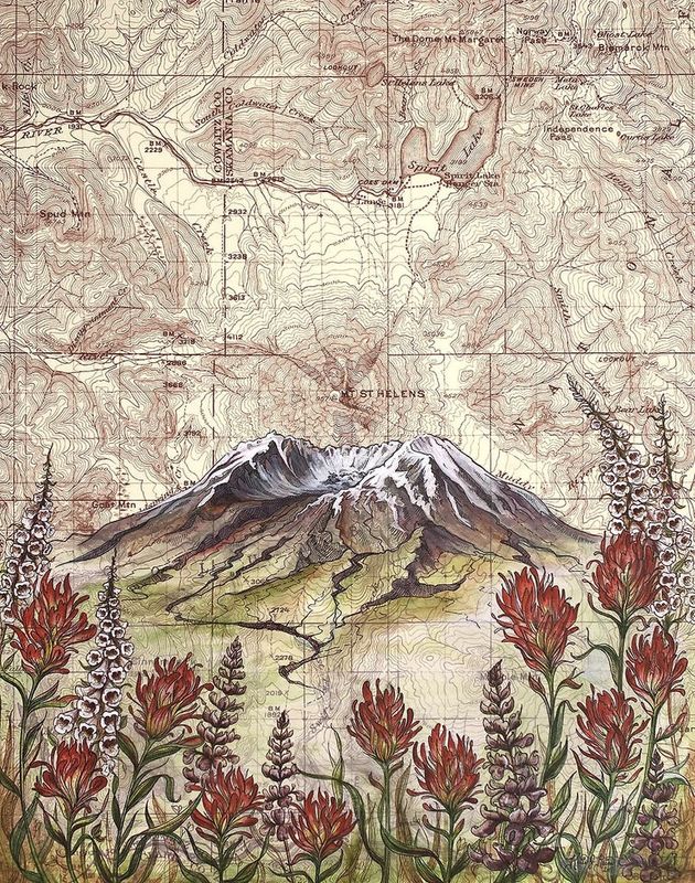 Mt St Helens Wildflowers