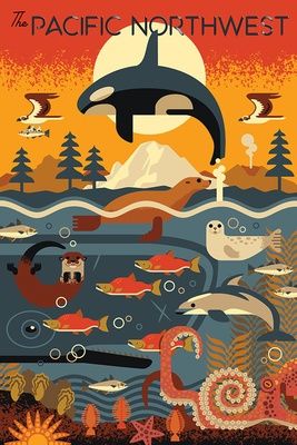 PNW Marine Animals