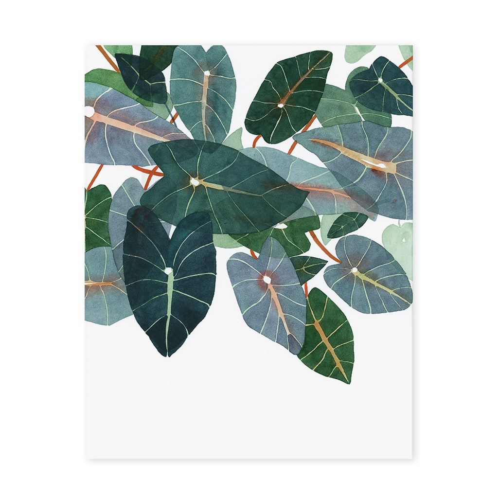 Caladiums, Size: 8"x10"