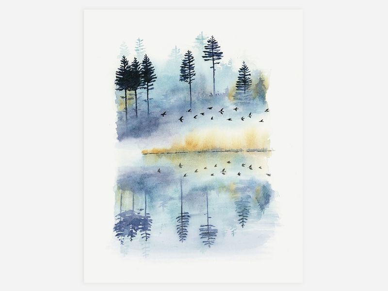 Misty Morning