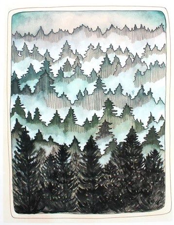 Northwest Forest