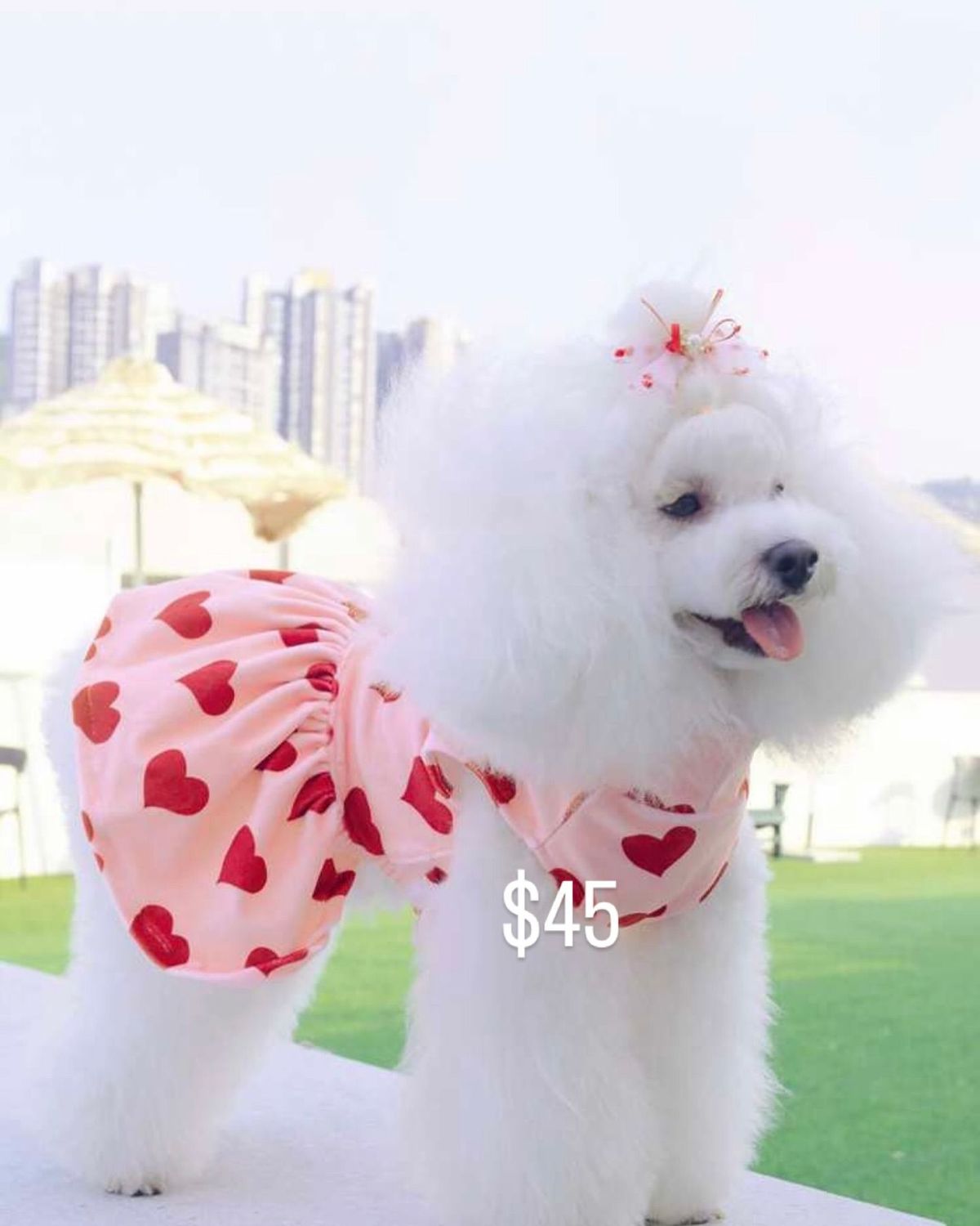 Heart Print Pet Dress with Pink Tulle Skirt