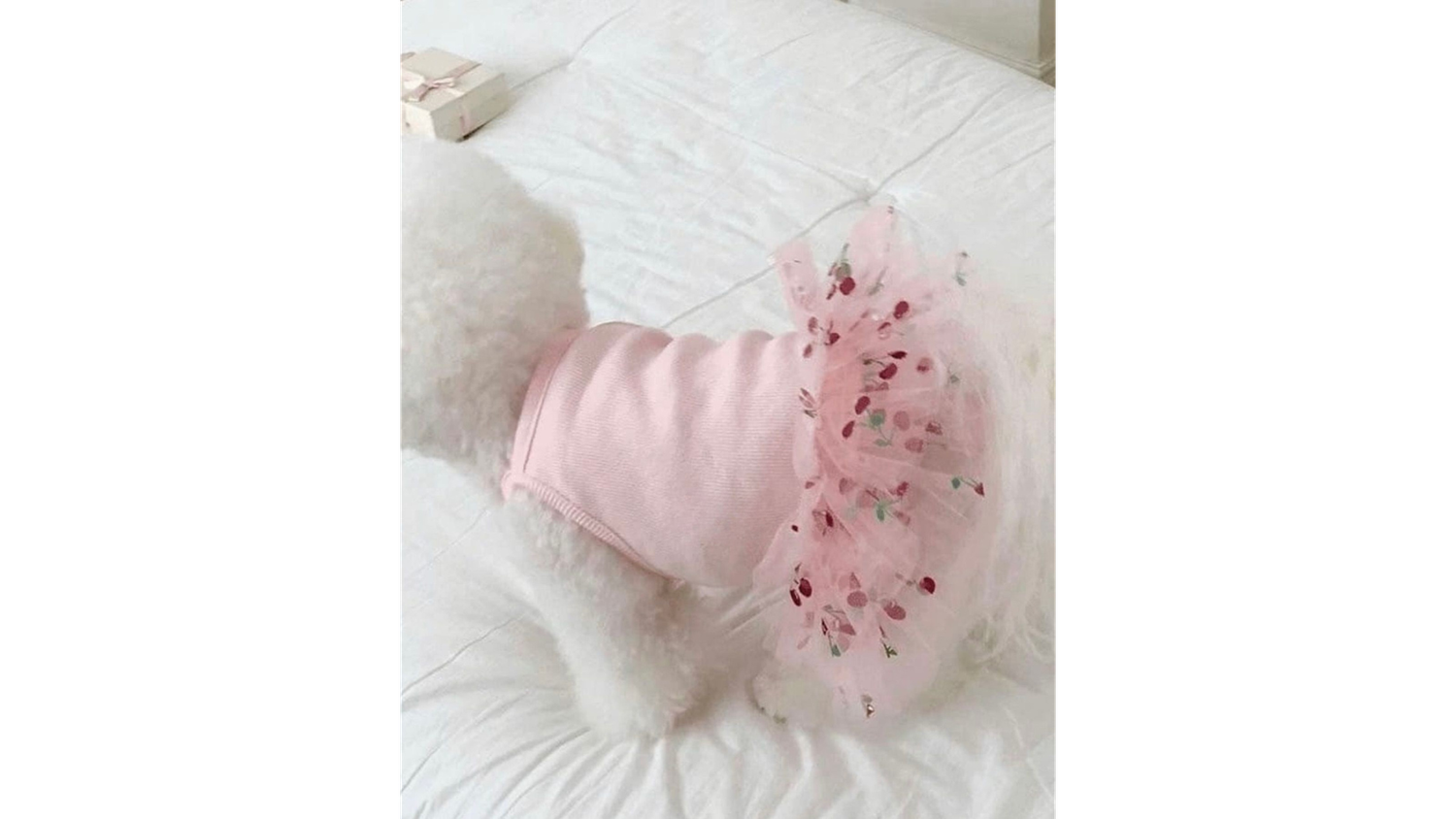 Pink polka dot dress with gathered waist