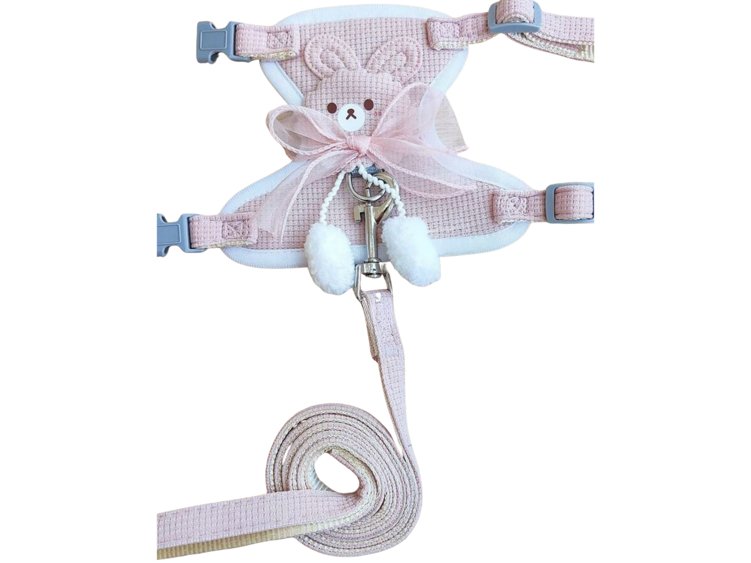 bear-themed harness and leash set