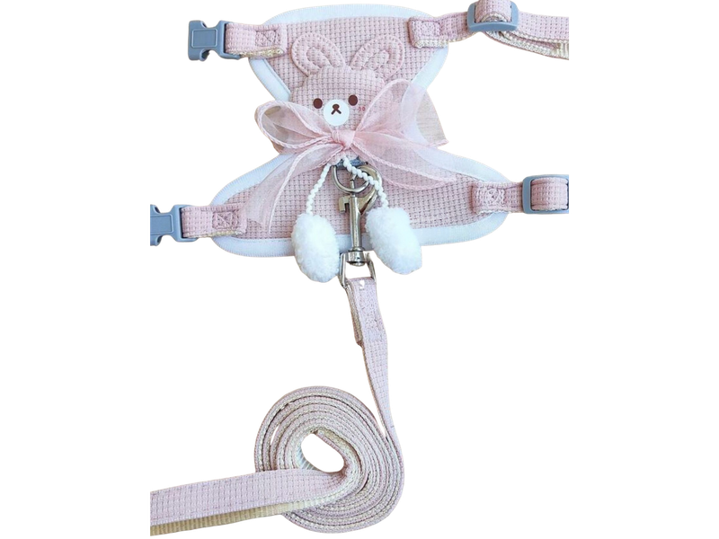 bear-themed harness and leash set