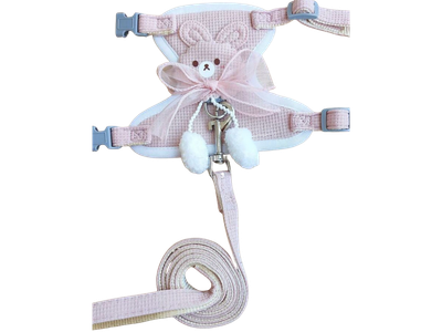 bear-themed harness and leash set