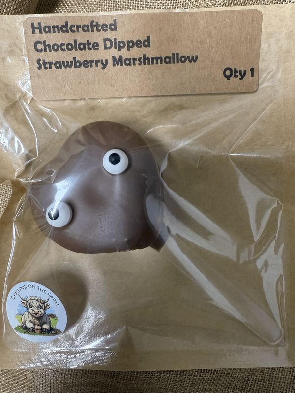 Valentine's Chocolate Dipped Strawberry Marshmallow